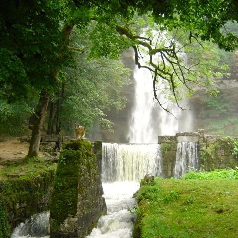 Au Moulin Des Fees - Maison D'Hotes Cascades Du Herisson Bonlieu Zewnętrze zdjęcie